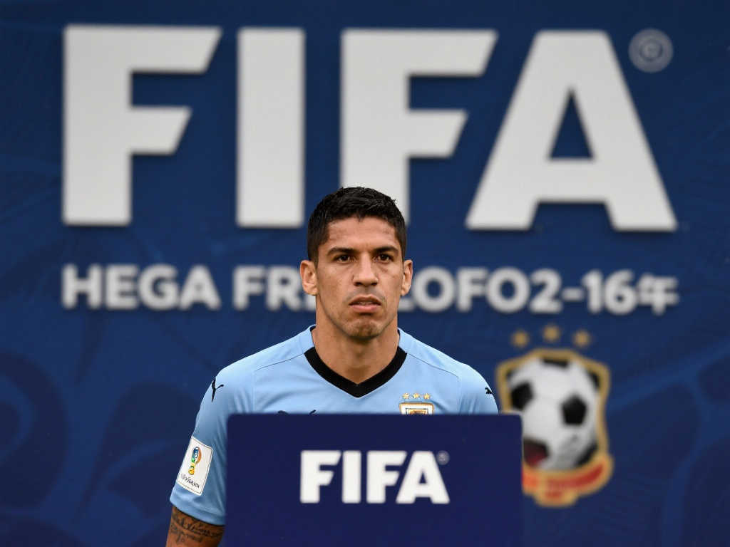 乐鱼体育-平台介绍