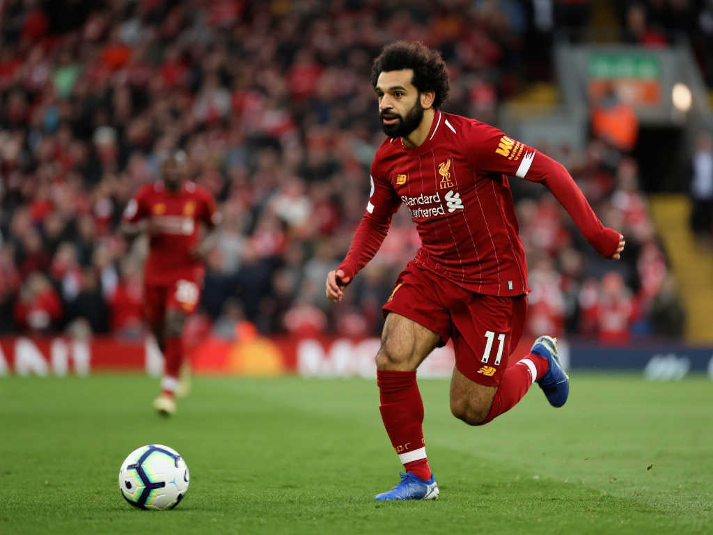 乐鱼体育-平台介绍